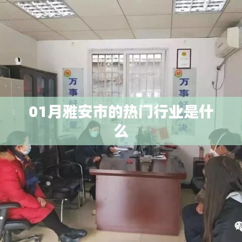 雅安市熱門行業一月份揭秘