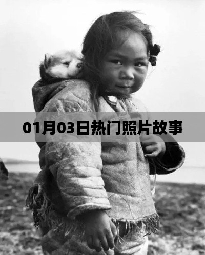 精選照片故事，記錄美好瞬間