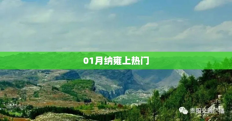 納雍熱點聚焦，一月份熱議話題揭秘