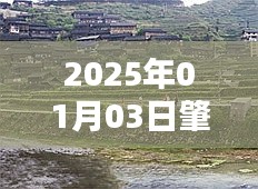 日期標注