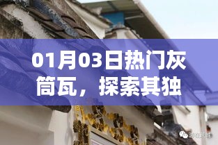雍容雅步 第3頁