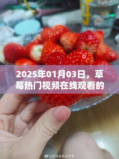 草莓盛宴，熱門視頻在線觀看，2025年不容錯過