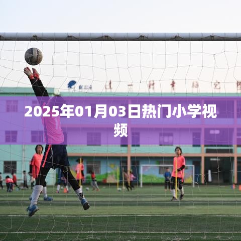 熱門小學視頻一網打盡，2025年1月3日盤點