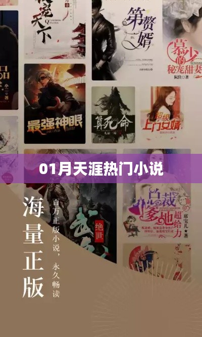 天涯熱門小說一月榜單揭曉