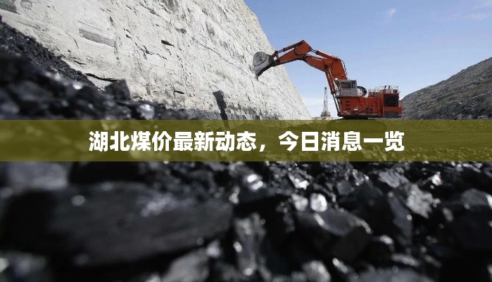 湖北煤價最新動態(tài)，今日消息一覽