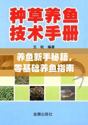 養(yǎng)魚新手秘籍，零基礎養(yǎng)魚指南（最新版）