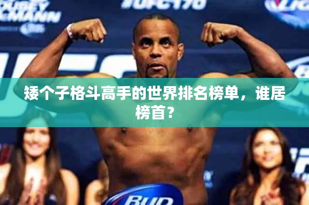 矮個子格斗高手的世界排名榜單，誰居榜首？