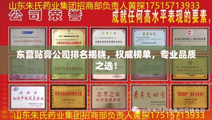 東營(yíng)貼膏公司排名揭曉，權(quán)威榜單，專業(yè)品質(zhì)之選！