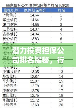 潛力投資擔保公司排名揭秘，行業影響力大揭秘！