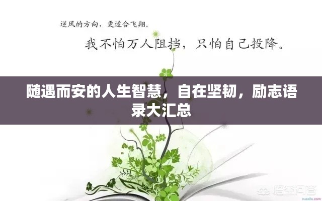 隨遇而安的人生智慧，自在堅韌，勵志語錄大匯總