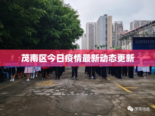 茂南區今日疫情最新動態更新