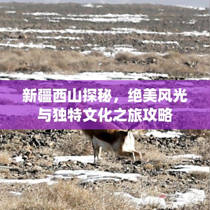新疆西山探秘，絕美風光與獨特文化之旅攻略