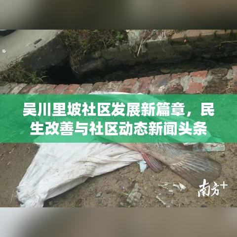 吳川里坡社區(qū)發(fā)展新篇章，民生改善與社區(qū)動(dòng)態(tài)新聞?lì)^條