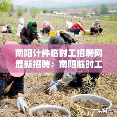 南陽計件臨時工招聘網最新招聘：南陽臨時工日結 