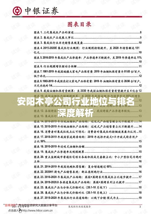 安陽木亭公司行業地位與排名深度解析