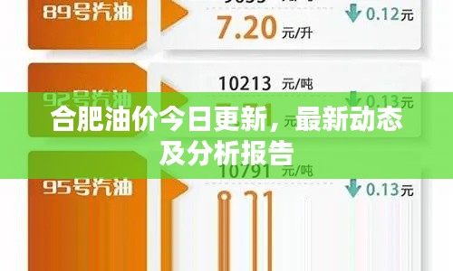 合肥油價今日更新，最新動態及分析報告