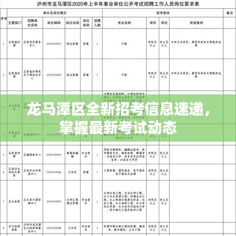 龍馬潭區(qū)全新招考信息速遞，掌握最新考試動態(tài)