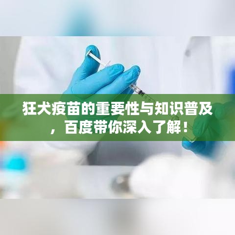 狂犬疫苗的重要性與知識(shí)普及，百度帶你深入了解！
