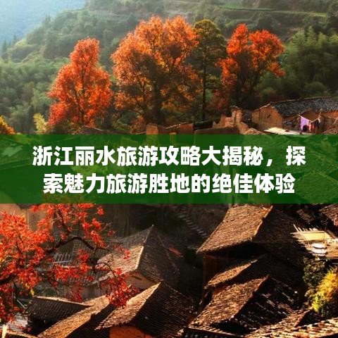 浙江麗水旅游攻略大揭秘，探索魅力旅游勝地的絕佳體驗