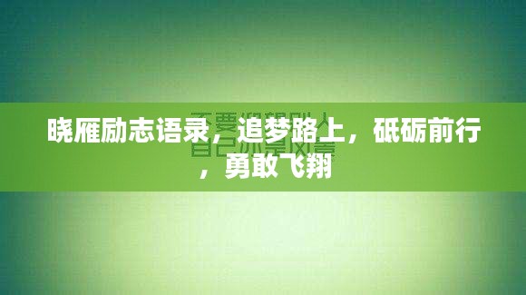 曉雁勵志語錄，追夢路上，砥礪前行，勇敢飛翔