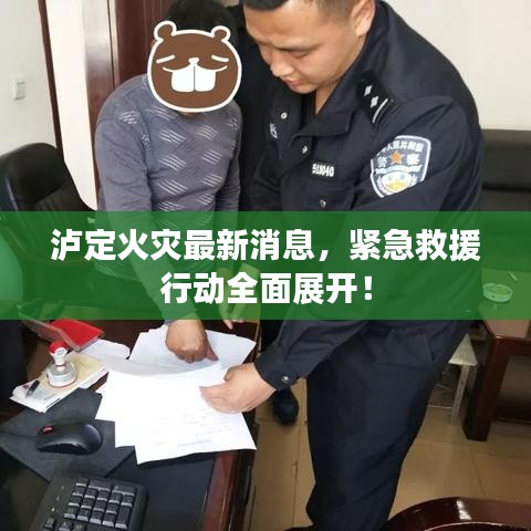 瀘定火災(zāi)最新消息，緊急救援行動(dòng)全面展開！