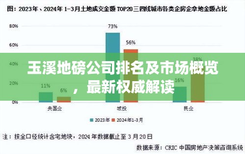 玉溪地磅公司排名及市場(chǎng)概覽，最新權(quán)威解讀
