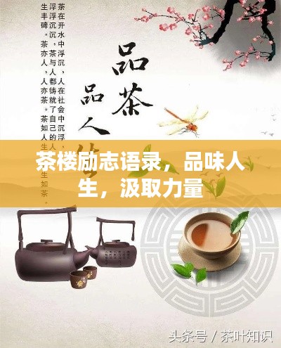 茶樓勵志語錄，品味人生，汲取力量