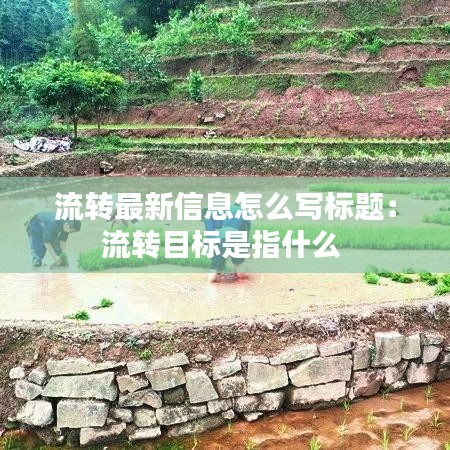 流轉(zhuǎn)最新信息怎么寫標題：流轉(zhuǎn)目標是指什么 