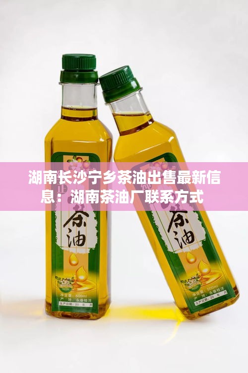 湖南長沙寧鄉茶油出售最新信息：湖南茶油廠聯系方式 