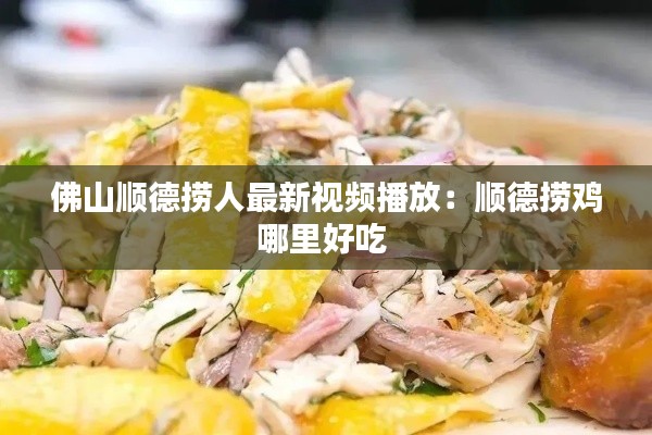 佛山順德撈人最新視頻播放：順德撈雞哪里好吃 
