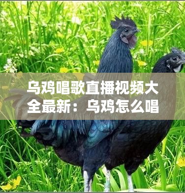 朝飛暮卷 第3頁