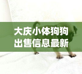 月里嫦娥 第3頁