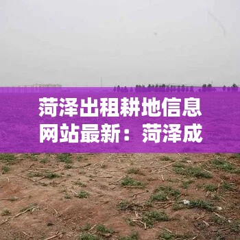 菏澤出租耕地信息網站最新：菏澤成武耕地出租 