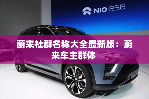 蔚來社群名稱大全最新版：蔚來車主群體 