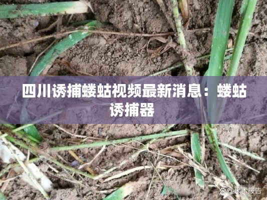 舉止嫻雅 第3頁