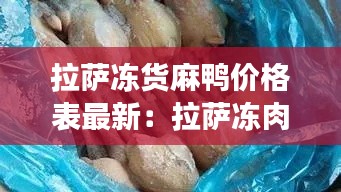 拉薩凍貨麻鴨價格表最新：拉薩凍肉批發市場 