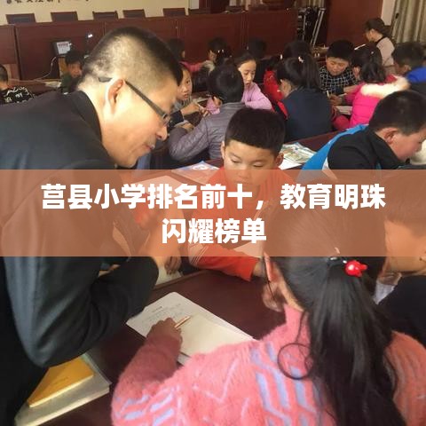 莒縣小學排名前十，教育明珠閃耀榜單