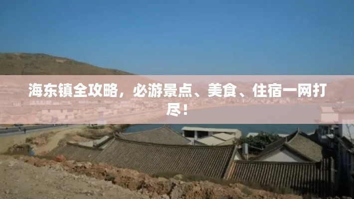 海東鎮全攻略，必游景點、美食、住宿一網打盡！