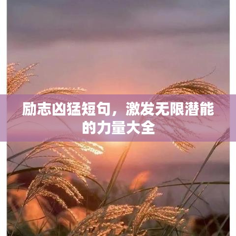 勵志兇猛短句，激發無限潛能的力量大全