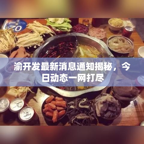 渝開發最新消息通知揭秘，今日動態一網打盡