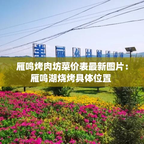 雁鳴烤肉坊菜價表最新圖片：雁鳴湖燒烤具體位置 