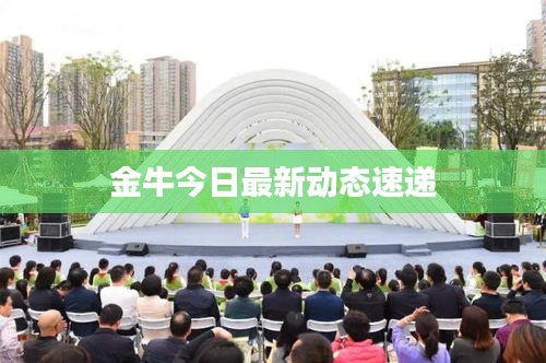 金牛今日最新動態速遞