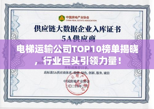 電梯運輸公司TOP10榜單揭曉，行業巨頭引領力量！