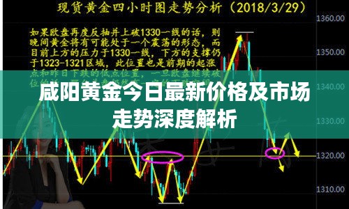 咸陽黃金今日最新價格及市場走勢深度解析