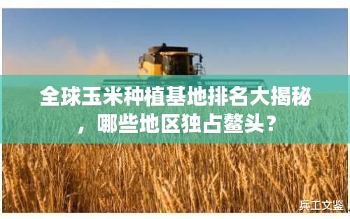 全球玉米種植基地排名大揭秘，哪些地區獨占鰲頭？