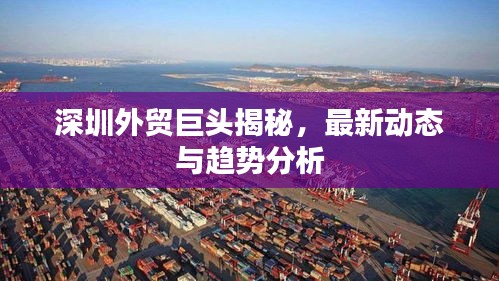深圳外貿巨頭揭秘，最新動態與趨勢分析