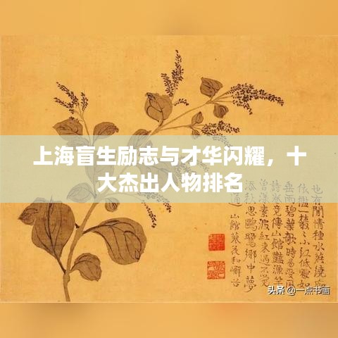 上海盲生勵志與才華閃耀，十大杰出人物排名