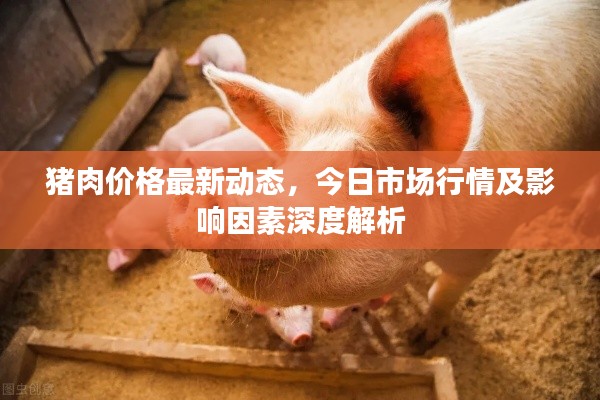 豬肉價格最新動態，今日市場行情及影響因素深度解析