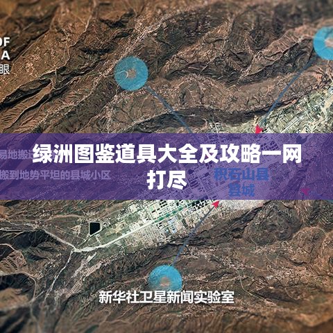 綠洲圖鑒道具大全及攻略一網打盡