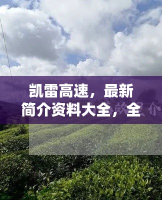凱雷高速，最新簡介資料大全，全面了解這條重要通道！